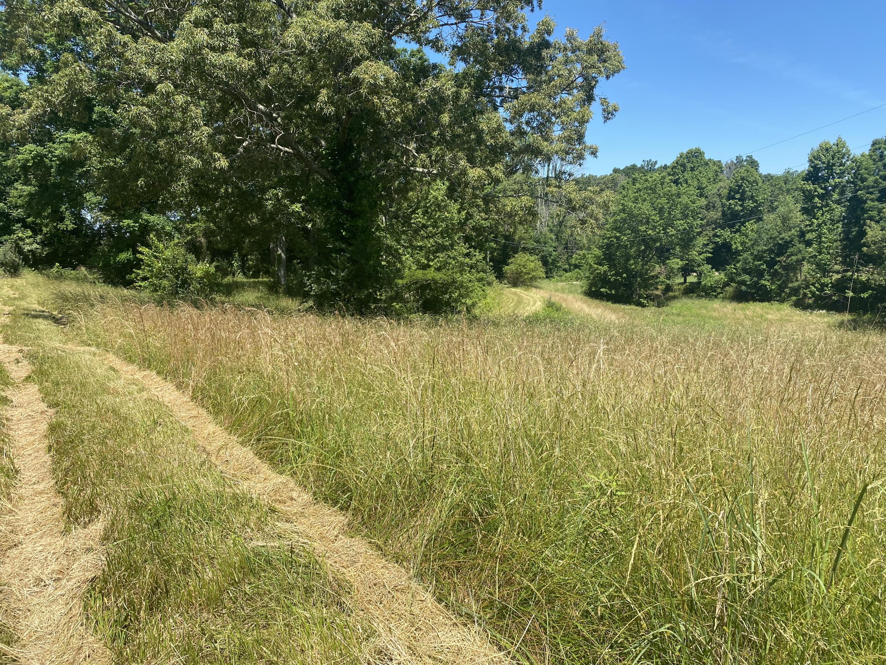 North Fork Road Madisonville, TN 37354 - Photo 11 of 24 IMG_3134