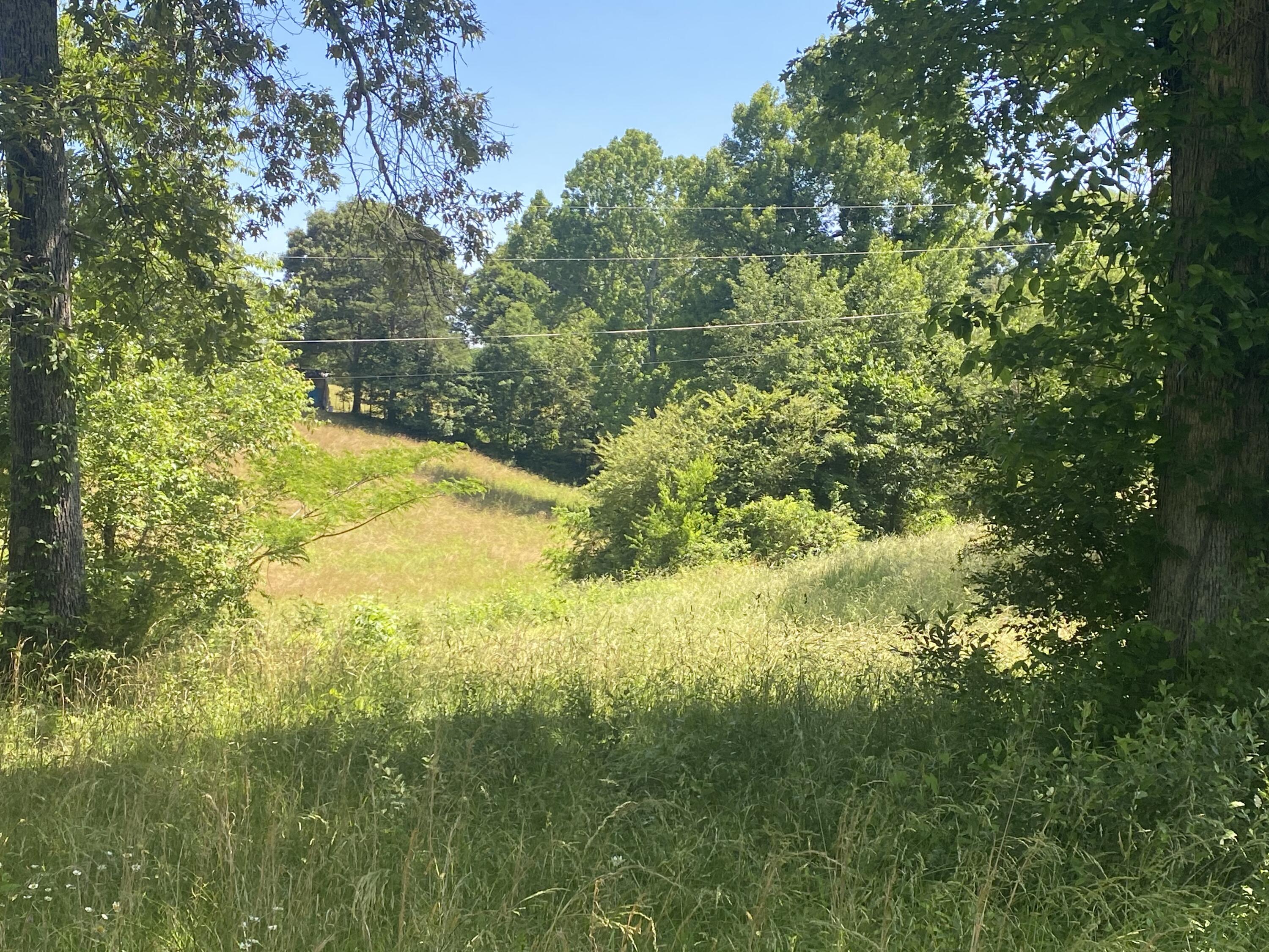 North Fork Road Madisonville, TN 37354 - Photo 13 of 24 IMG_3139