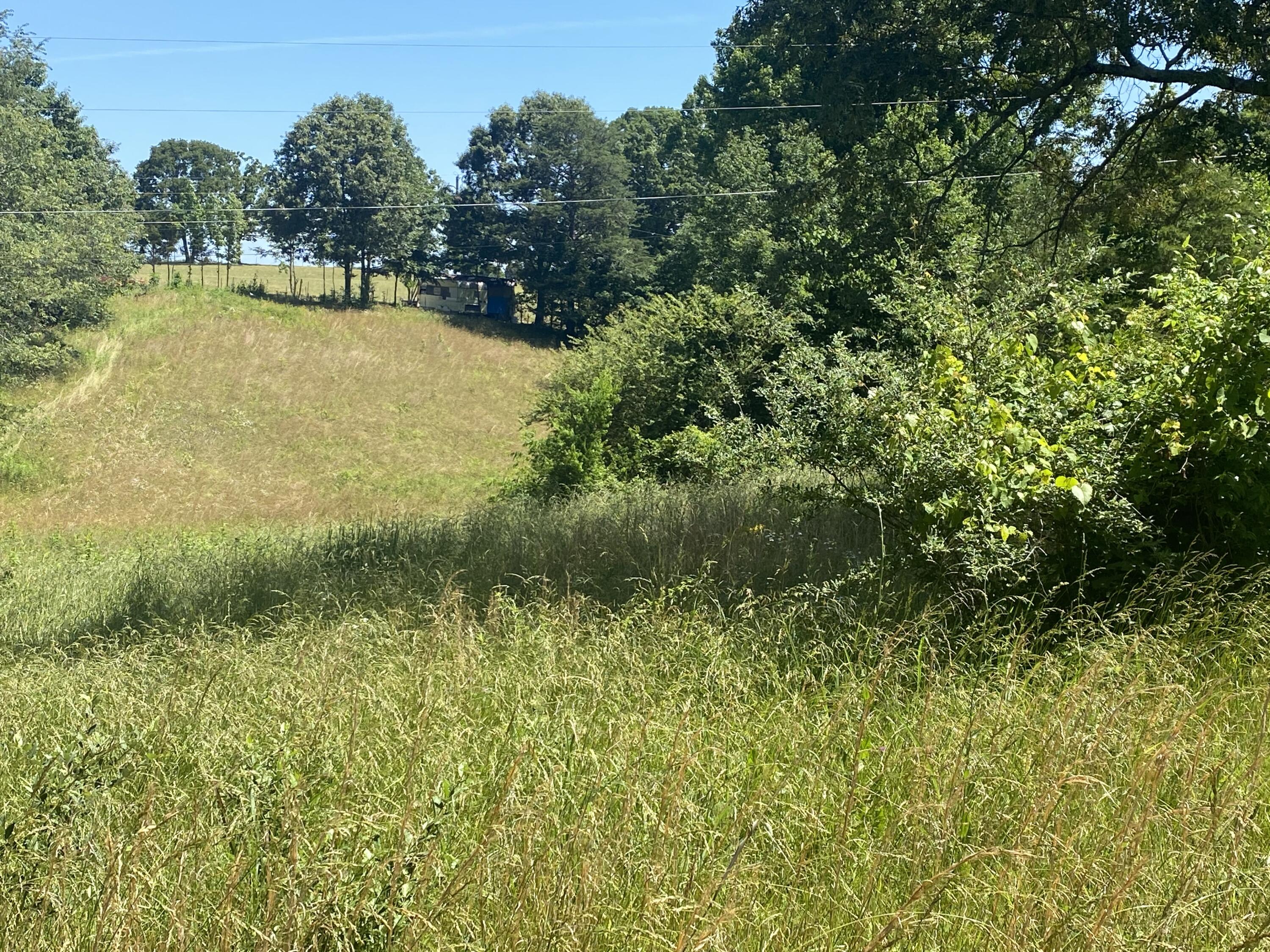 North Fork Road Madisonville, TN 37354 - Photo 15 of 24 IMG_3137