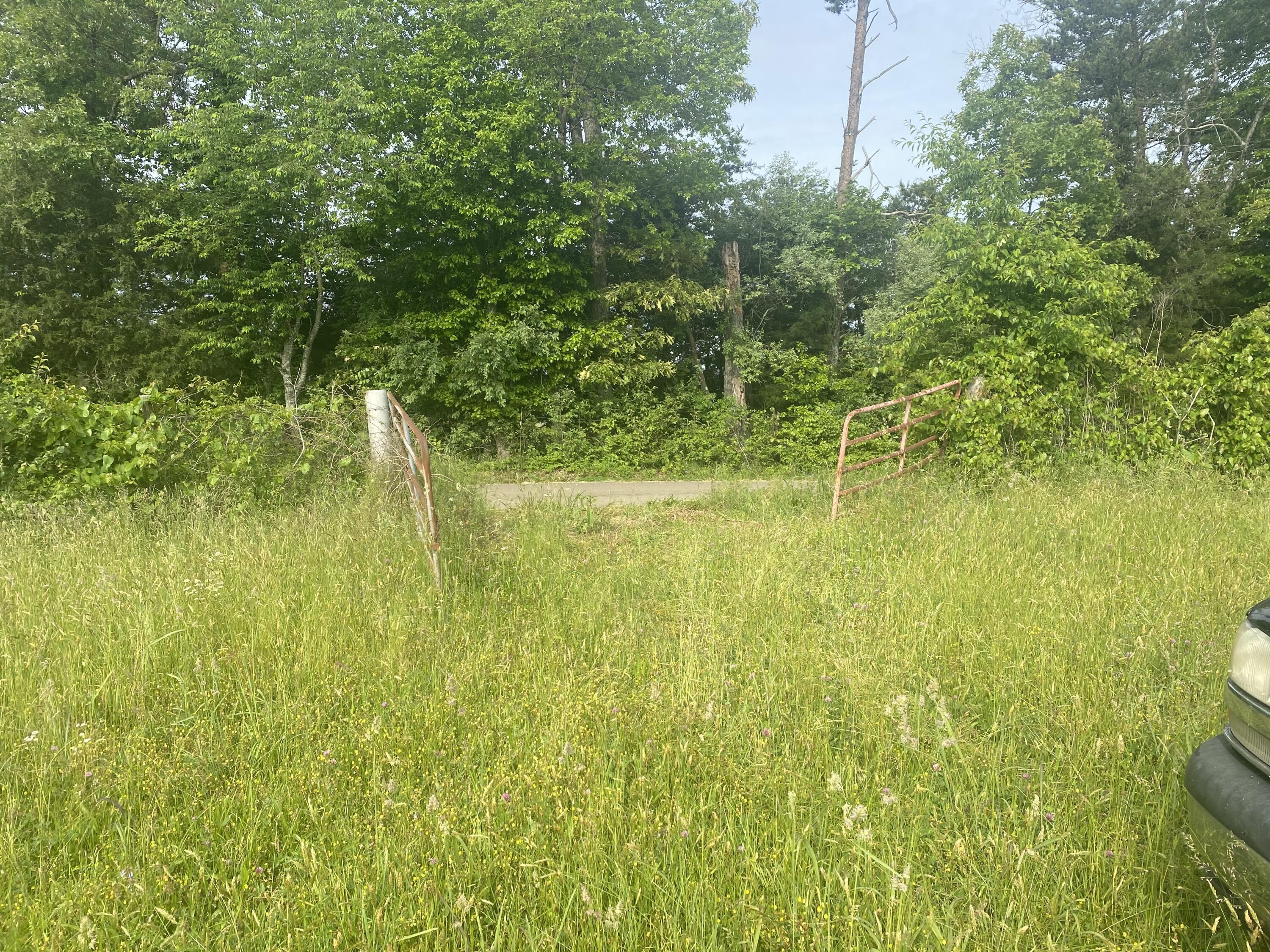 North Fork Road Madisonville, TN 37354 - Photo 16 of 24 IMG_3095
