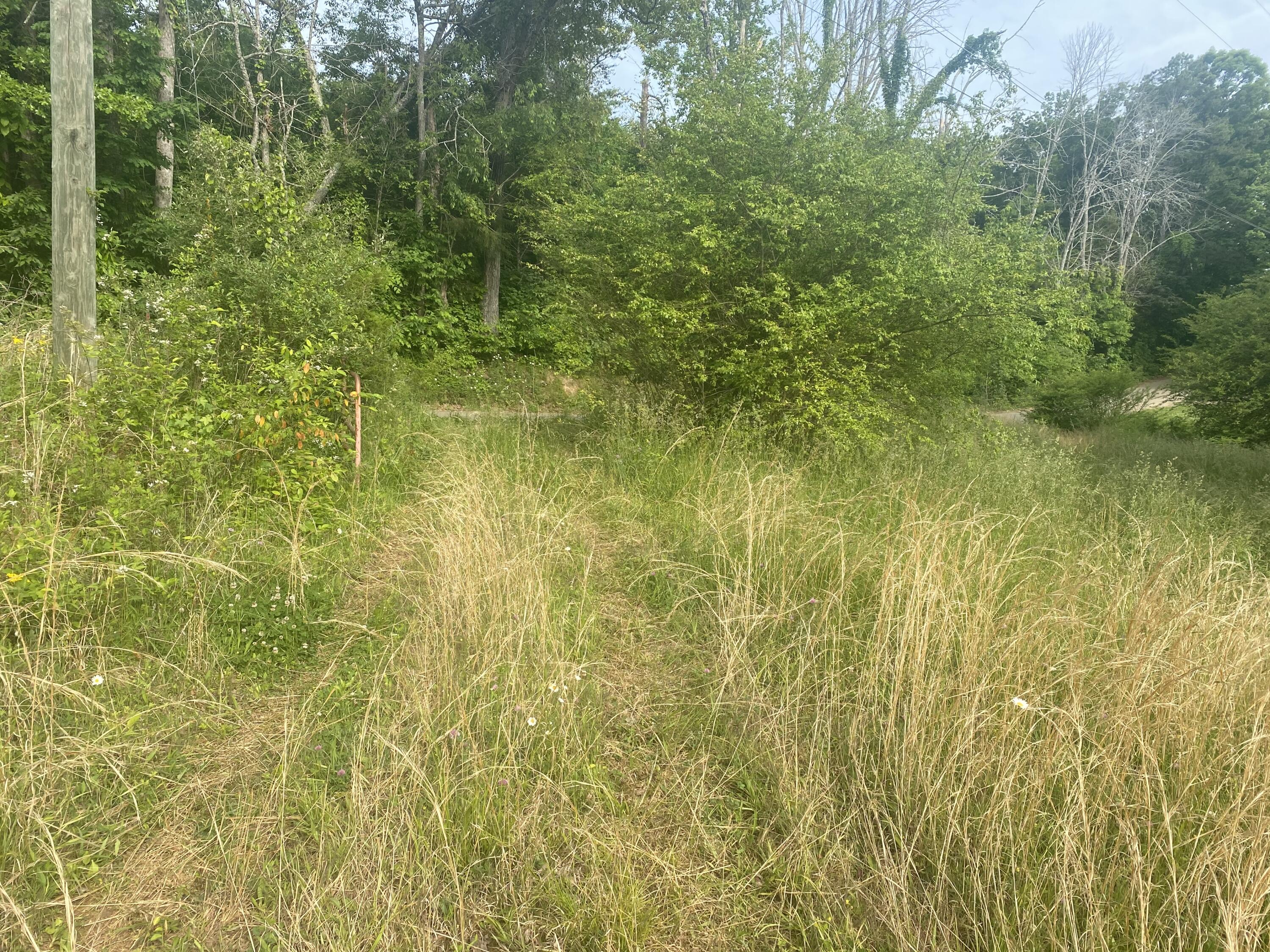 North Fork Road Madisonville, TN 37354 - Photo 18 of 24 IMG_3081