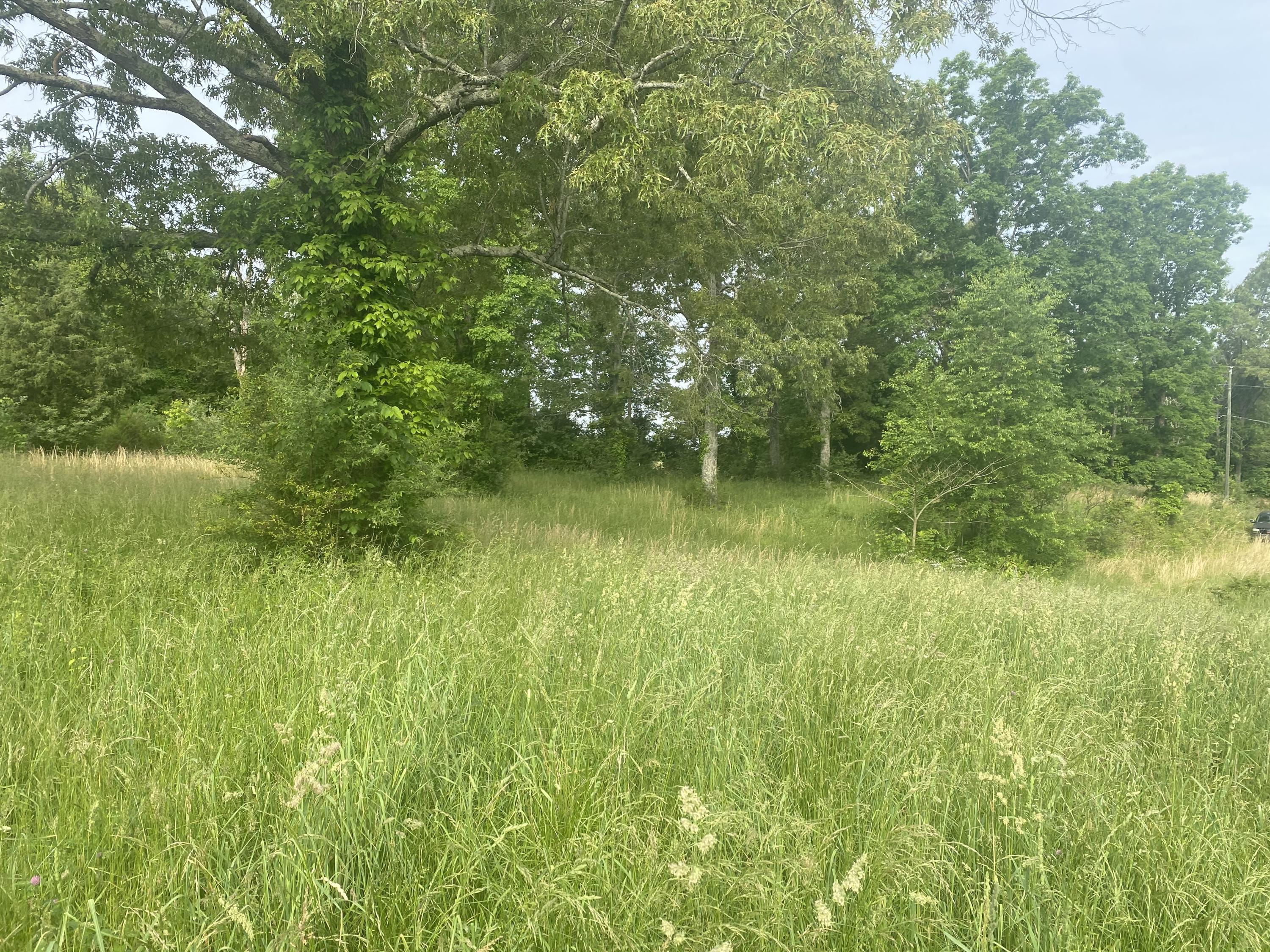 North Fork Road Madisonville, TN 37354 - Photo 20 of 24 IMG_3083