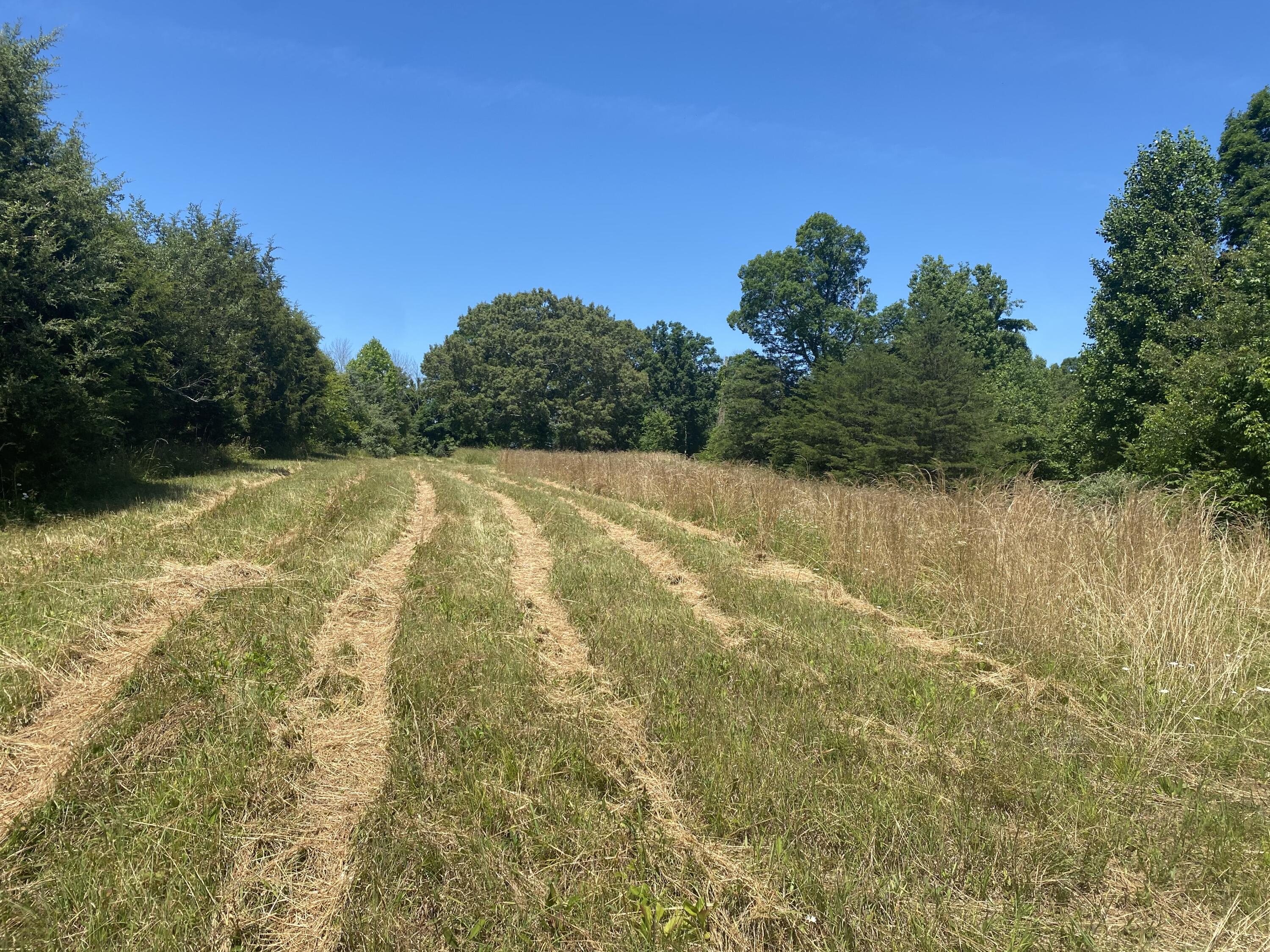 North Fork Road Madisonville, TN 37354 - Photo 6 of 24 IMG_3131