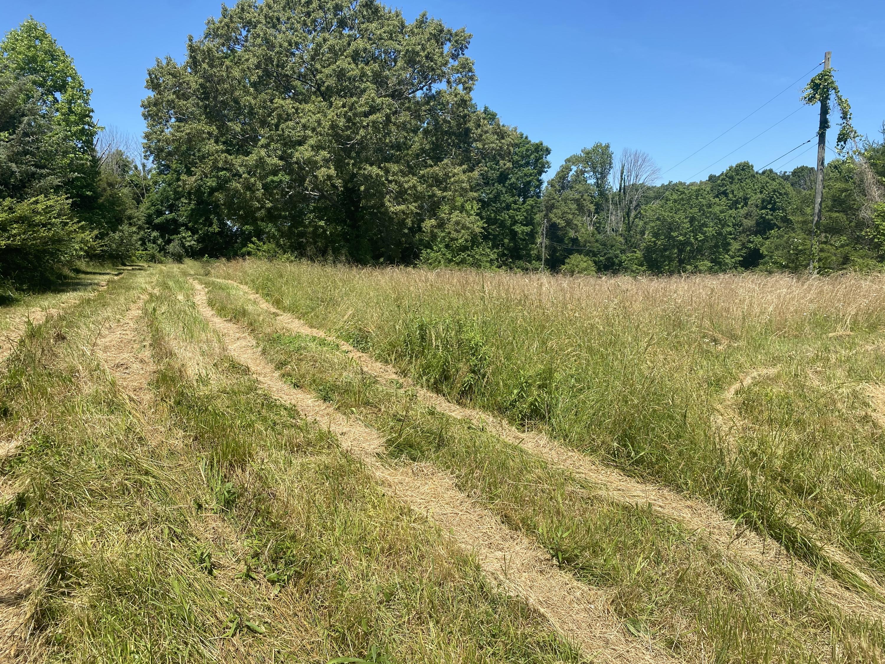 North Fork Road Madisonville, TN 37354 - Photo 10 of 24 IMG_3133
