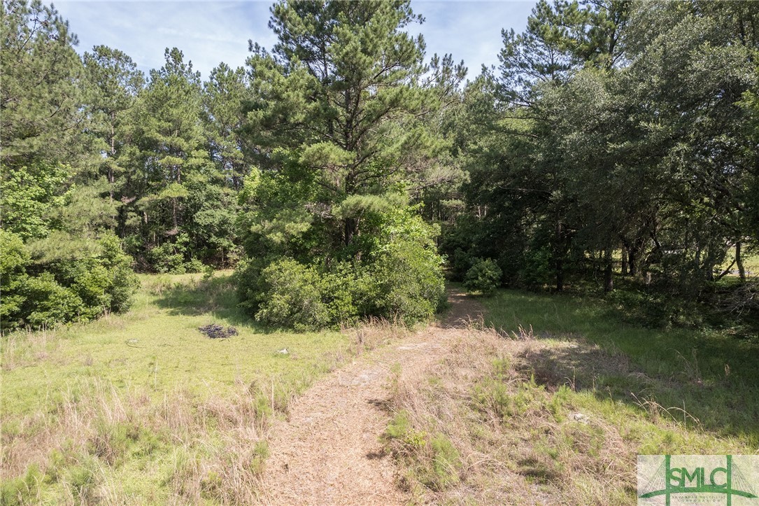 320 Pleasant Hill Church Road Ellabell, GA 31308 - Photo 27 of 44