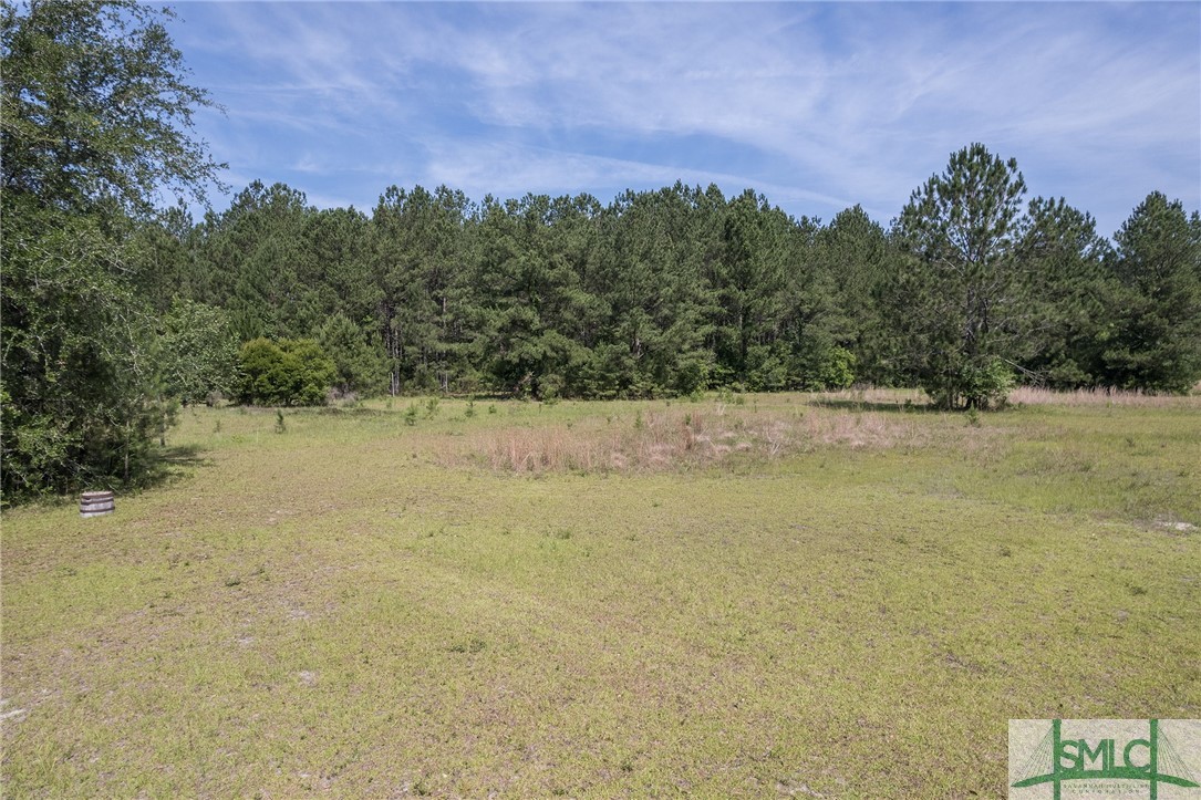 320 Pleasant Hill Church Road Ellabell, GA 31308 - Photo 36 of 44