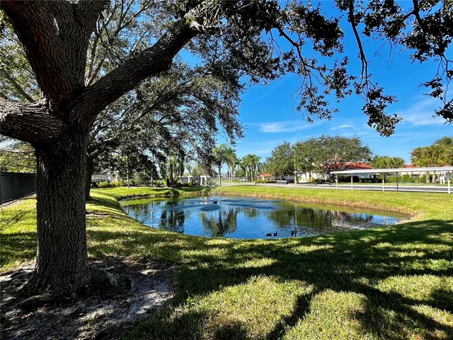 a view of a swimming pool with a yard