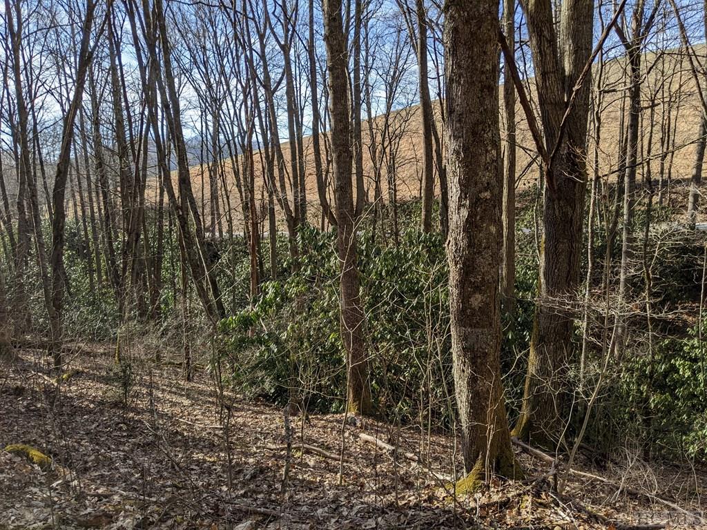 Lot 1 Big Ridge Road Glenville, NC 28736 - Photo 6 of 11 Gallery Image 6