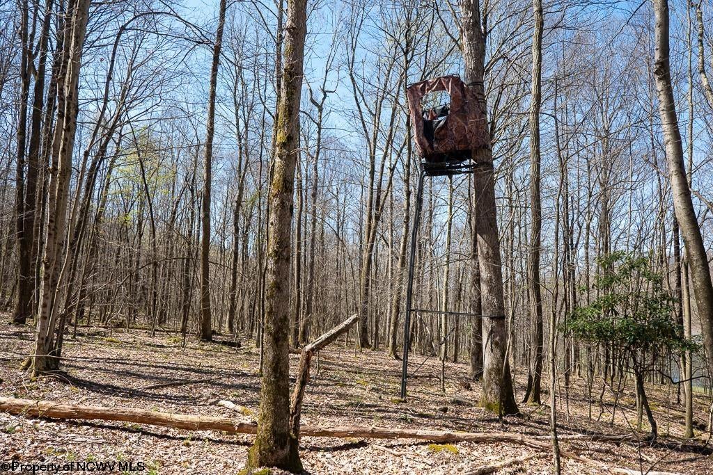 Lot 1 Fairfax Mine Road Reedsville, WV 26547 - Photo 15 of 49 Gallery Image 15