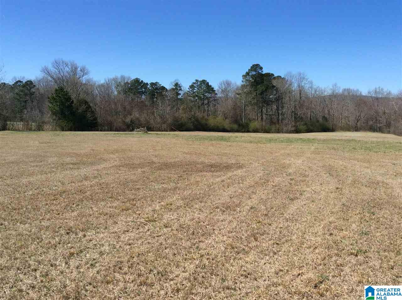 0 Coats Bend Road, Unit 1 Gadsden, AL 35901 - Photo 8 of 20