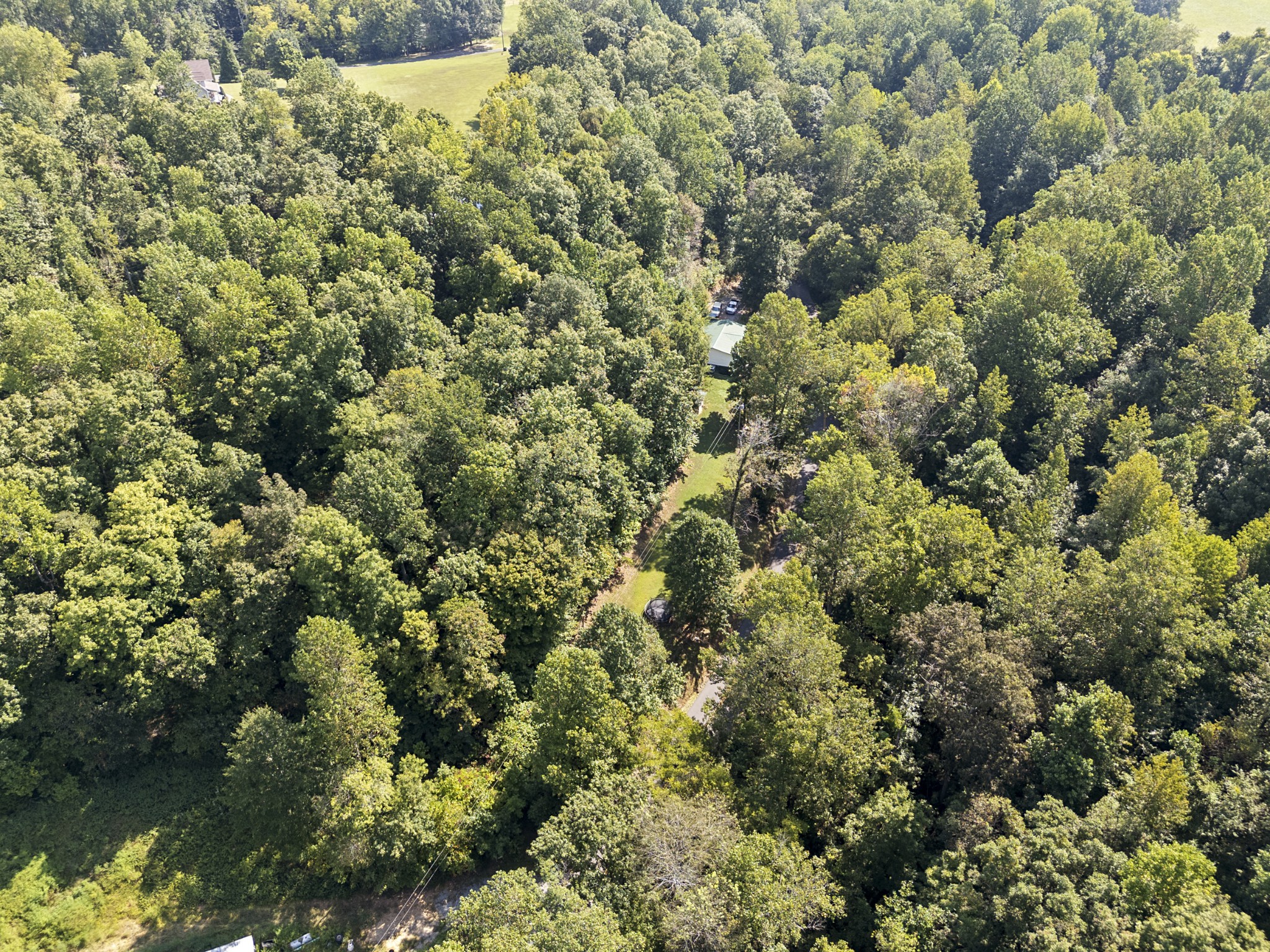 87 Ballard Hollow Road Taft, TN 38488 - Photo 4 of 29