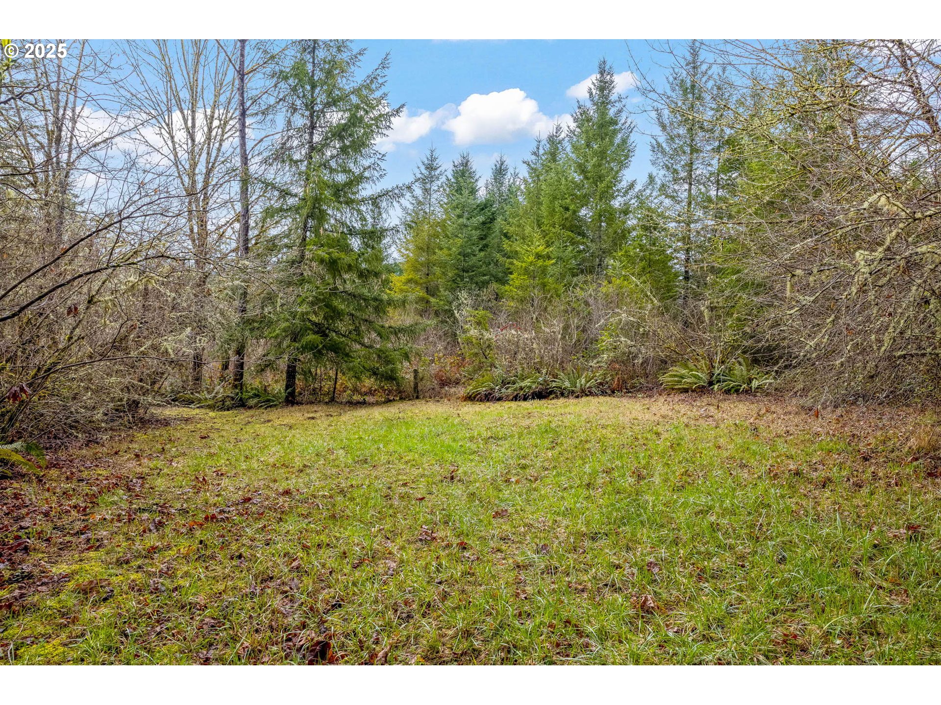 40440 Big Fall Creek Road Lowell, OR 97452 - Photo 28 of 32