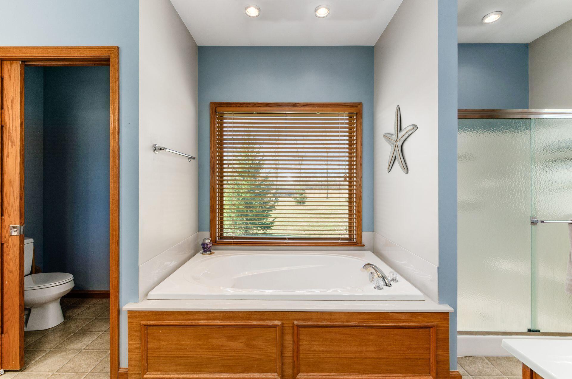 3680 Warrensburg Road Delaware, OH 43015 - Photo 27 of 46 Jet tub with lavatory to left and shower to right