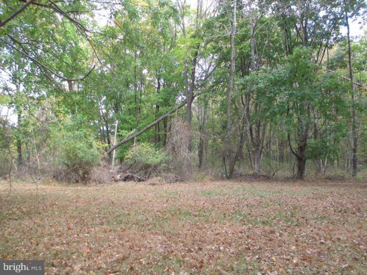 194 Carter Road Princeton, NJ 08540 - Photo 8 of 14