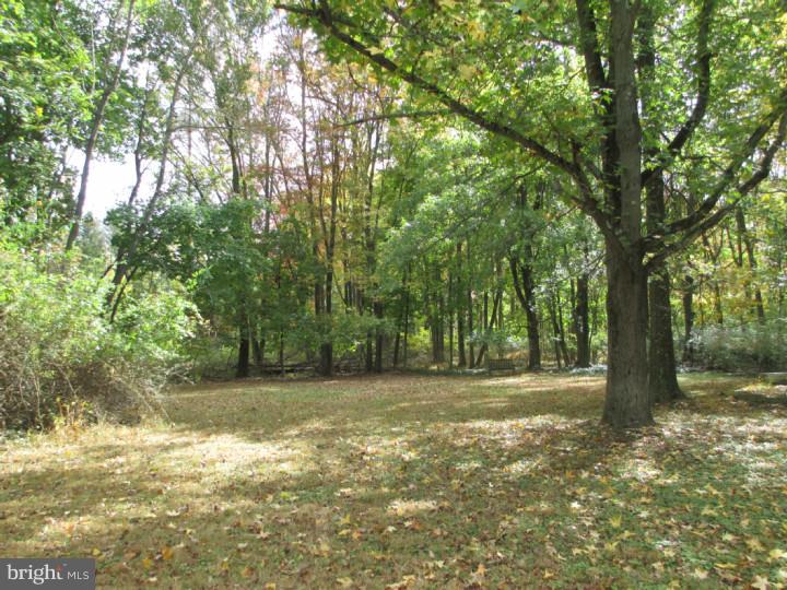 194 Carter Road Princeton, NJ 08540 - Photo 9 of 14