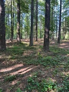 46 Davis Road Hiram, GA 30141 - Photo 8 of 17 a big yard with lots of green space and trees