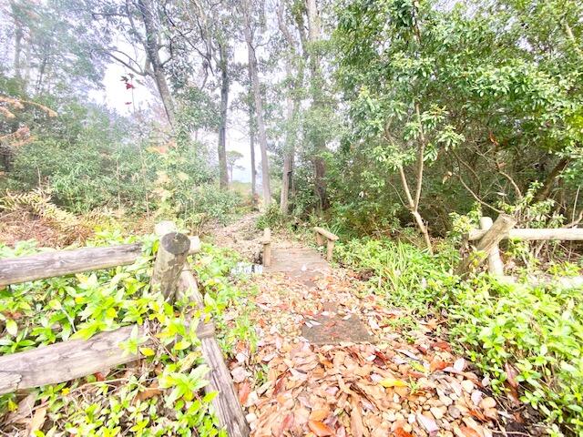 4401 Windrush Drive Niceville, FL 32578 - Photo 32 of 35 a backyard of a house with lots of green space and garden view