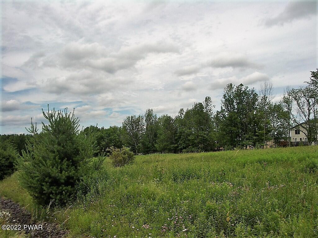 Lot 2 Avoy Heights Road Lake Ariel, PA 18436 - Photo 7 of 9