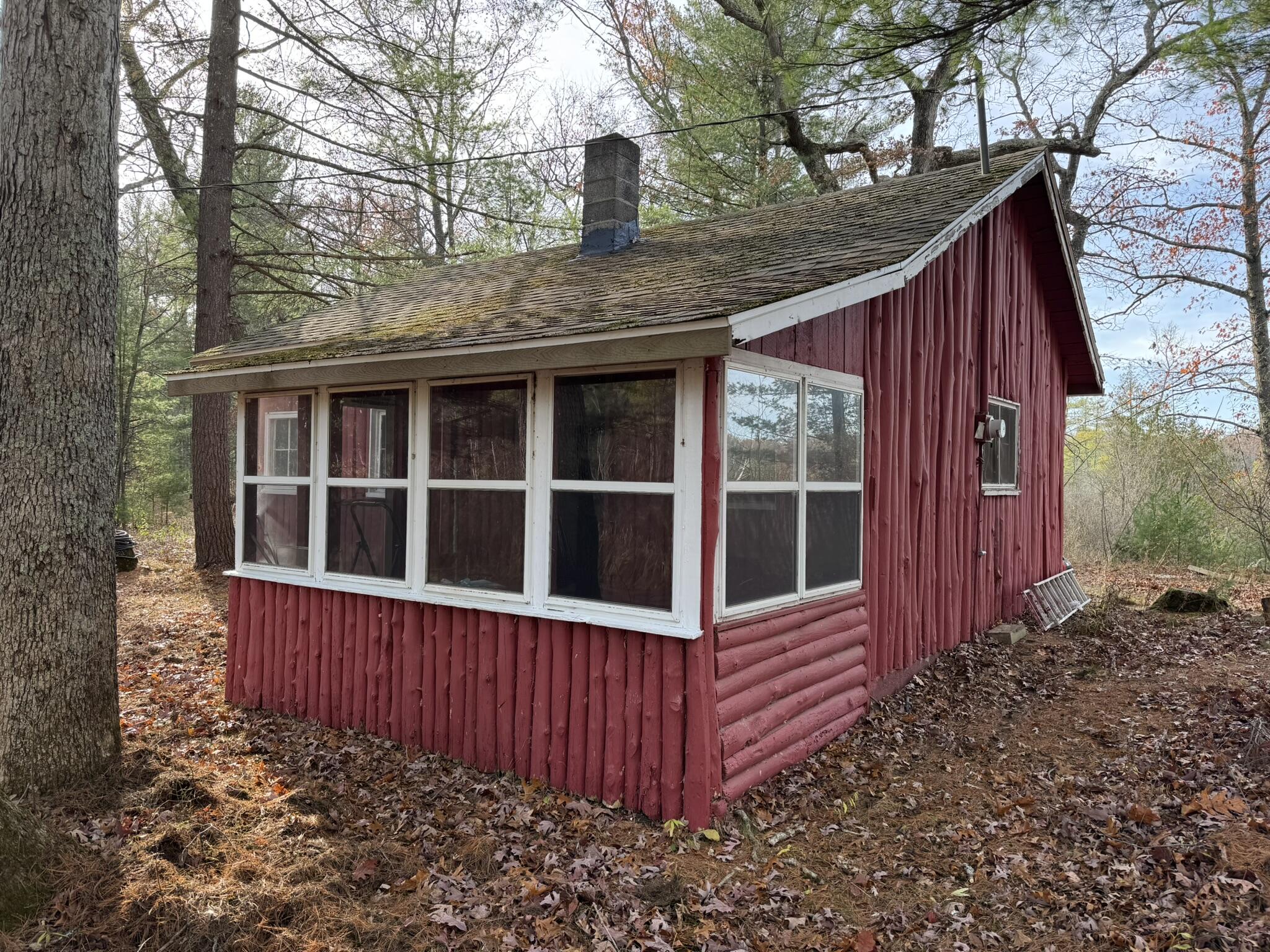 4658 Swihart Road Brethren, MI 49619 - Photo 3 of 18 IMG_1681