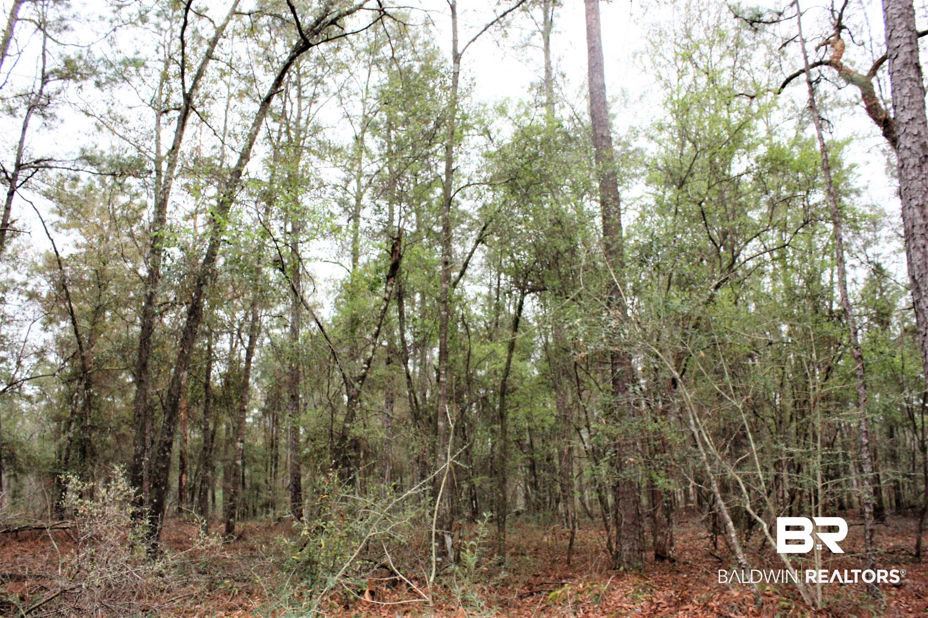 8190 B Dixon Road Bay Minette, AL 36507 - Photo 6 of 13