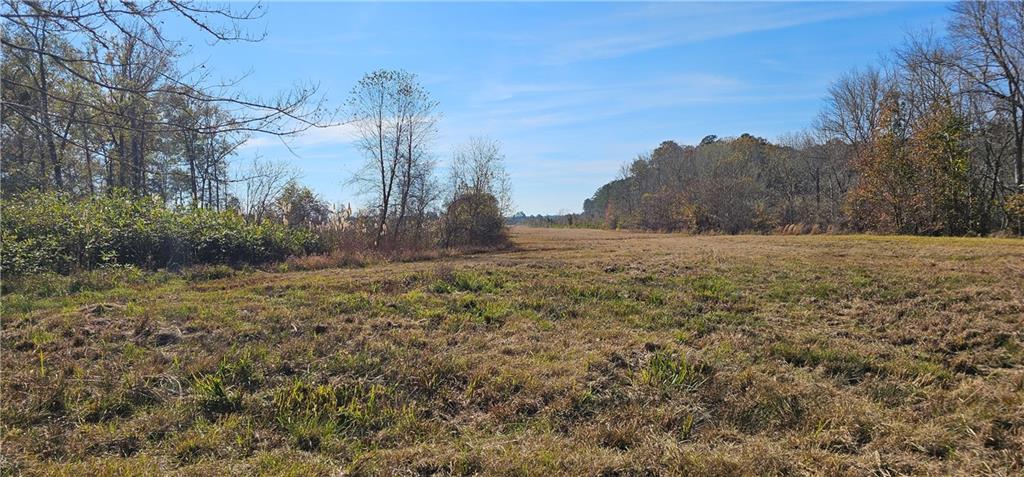 0 Old Eighty Five Road Sandersville, GA 31082 - Photo 11 of 15 a big yard with lots of green space