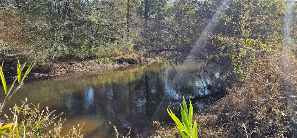 0 Old Eighty Five Road Sandersville, GA 31082 - Photo 13 of 15 a view of lake