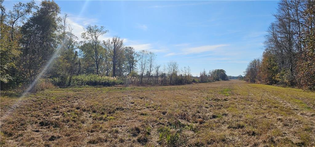 0 Old Eighty Five Road Sandersville, GA 31082 - Photo 2 of 15 a view of dirt yard with large trees