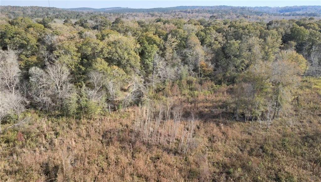 0 Old Eighty Five Road Sandersville, GA 31082 - Photo 7 of 15 an aerial view of forest