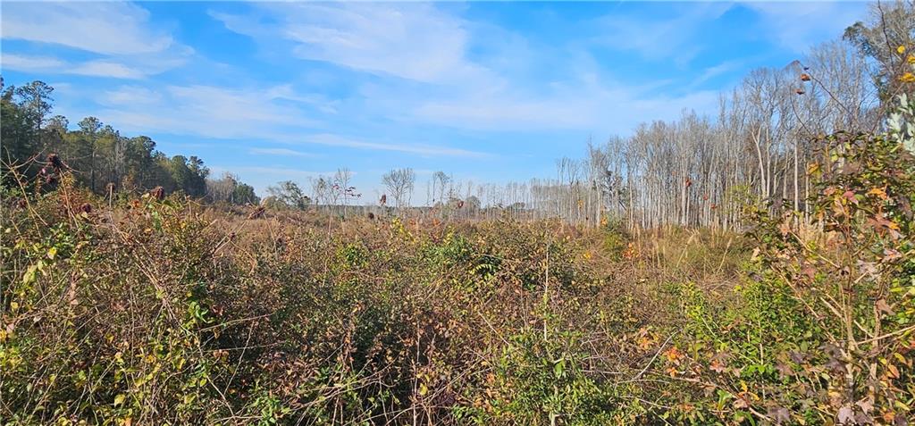 0 Old Eighty Five Road Sandersville, GA 31082 - Photo 9 of 15 a view of a city with lush green forest