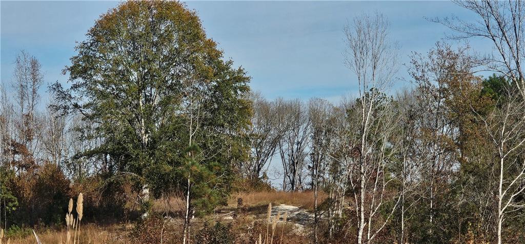 0 Old Eighty Five Road Sandersville, GA 31082 - Photo 10 of 15 a view of a yard