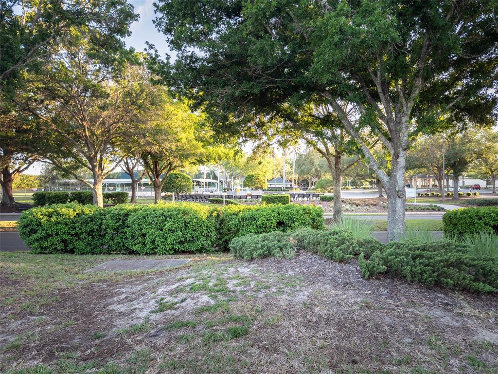 9593 Southeast 124th Loop Summerfield, FL 34491 - Photo 29 of 30