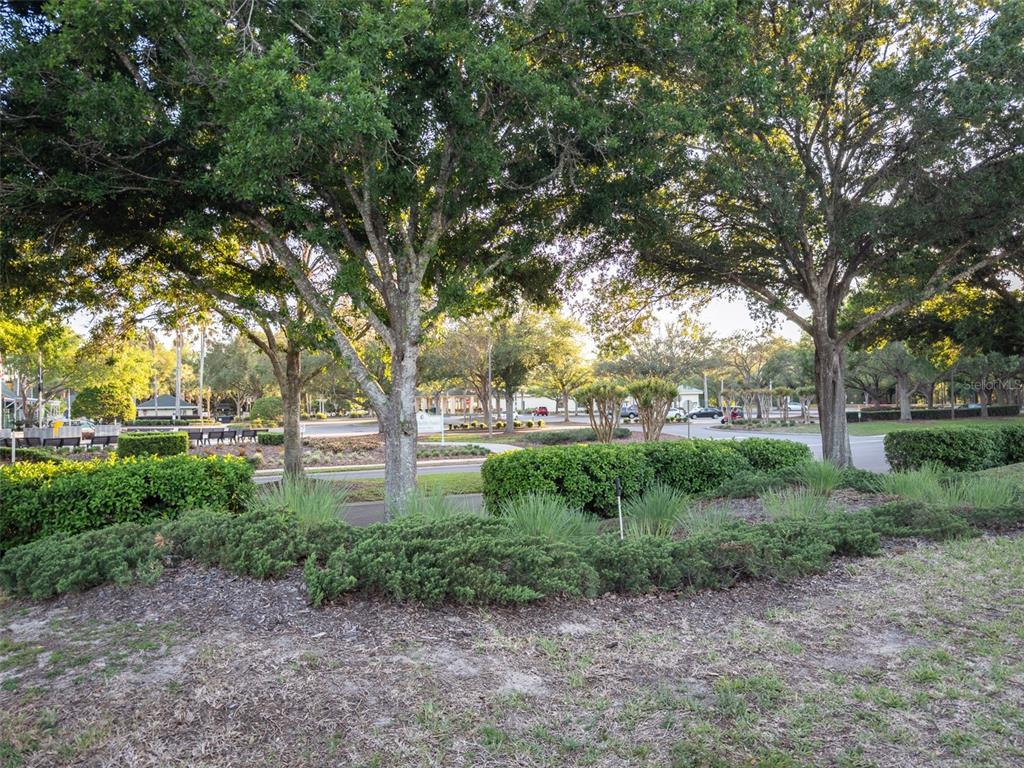 9593 Southeast 124th Loop Summerfield, FL 34491 - Photo 30 of 30