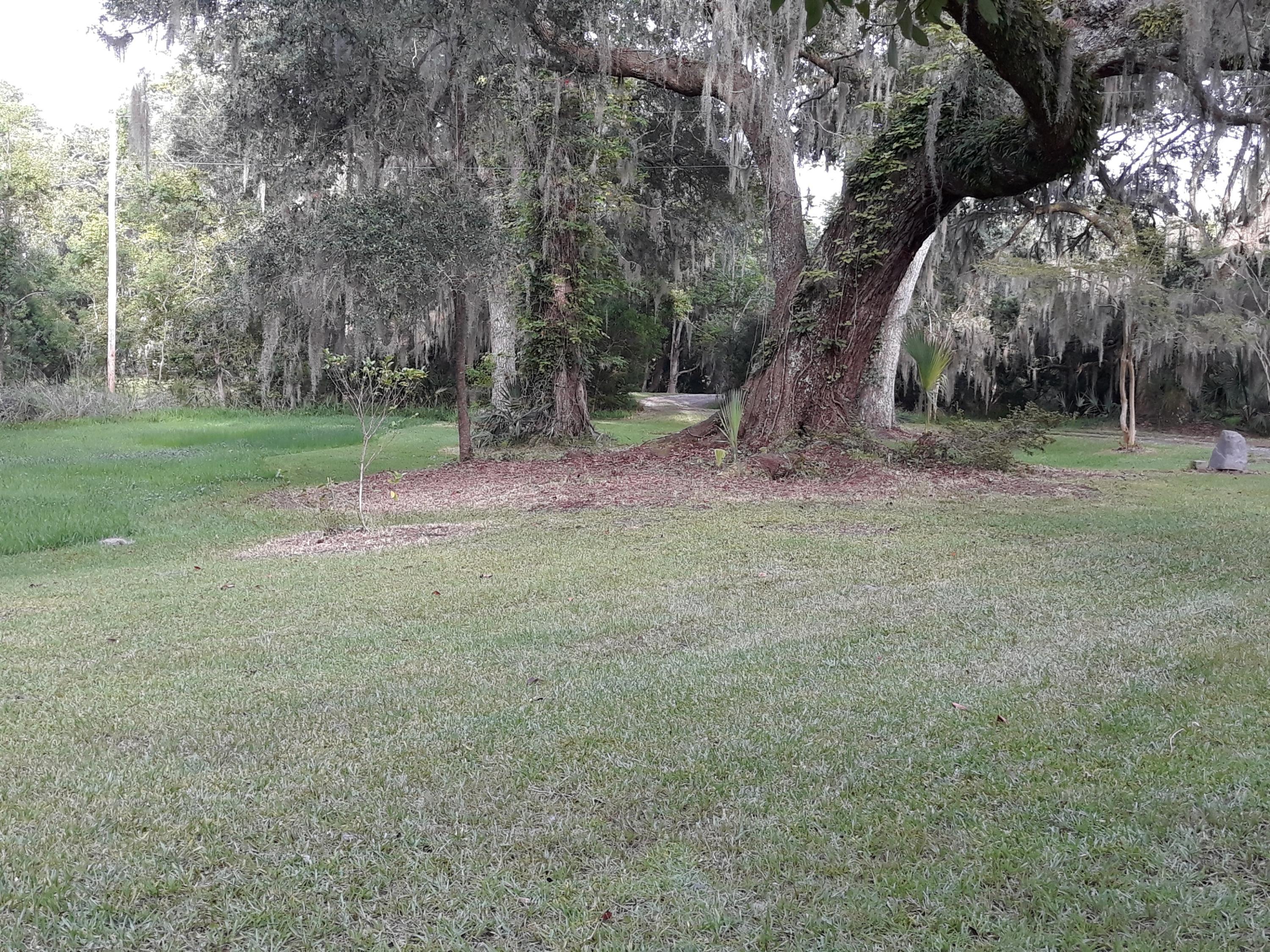2645 Blind Road Johns Island, SC 29455 - Photo 3 of 33 JI 19