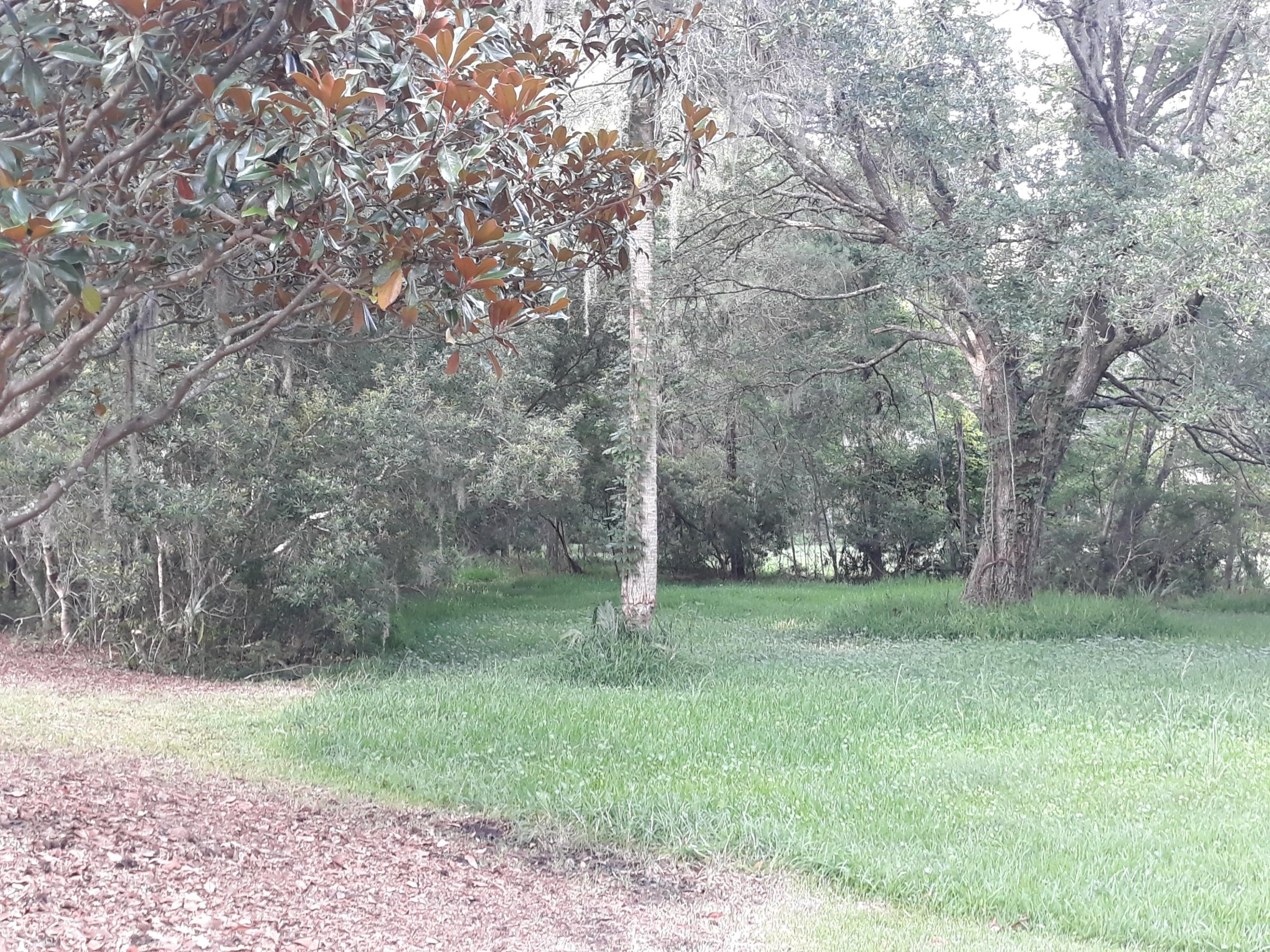 2645 Blind Road Johns Island, SC 29455 - Photo 23 of 33 JI 18