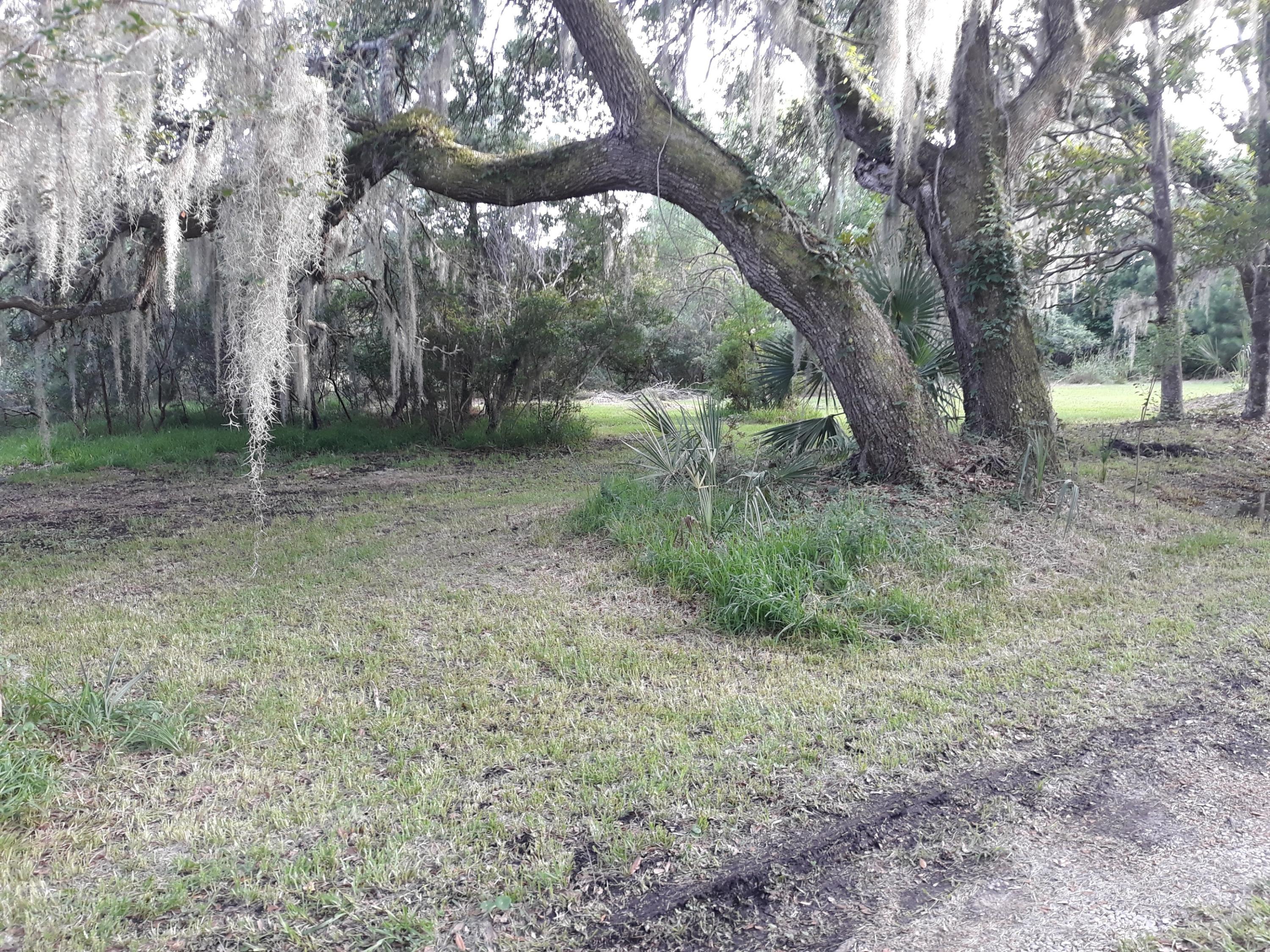 2645 Blind Road Johns Island, SC 29455 - Photo 4 of 33 JI 5