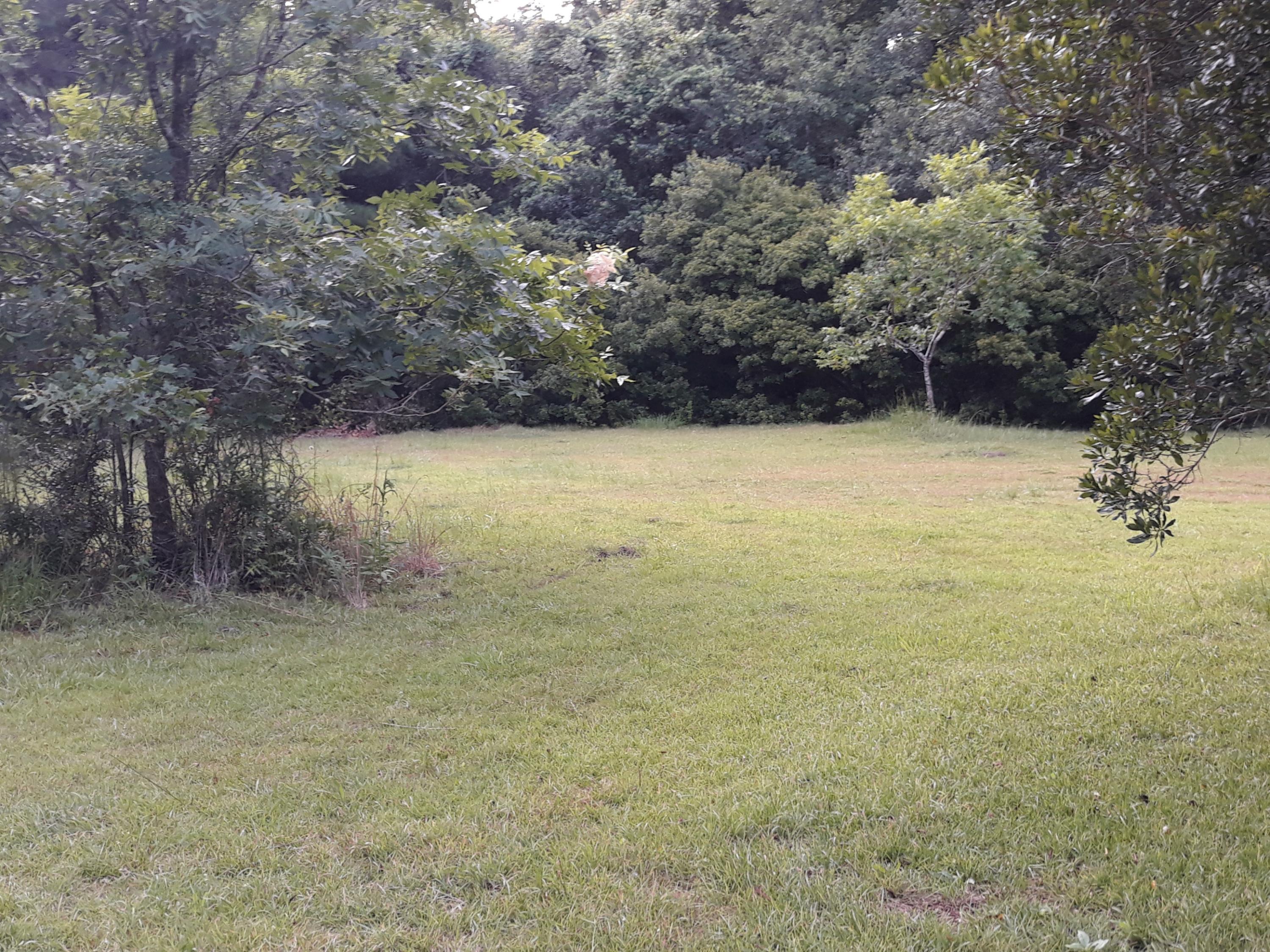 2645 Blind Road Johns Island, SC 29455 - Photo 33 of 33 JI 28