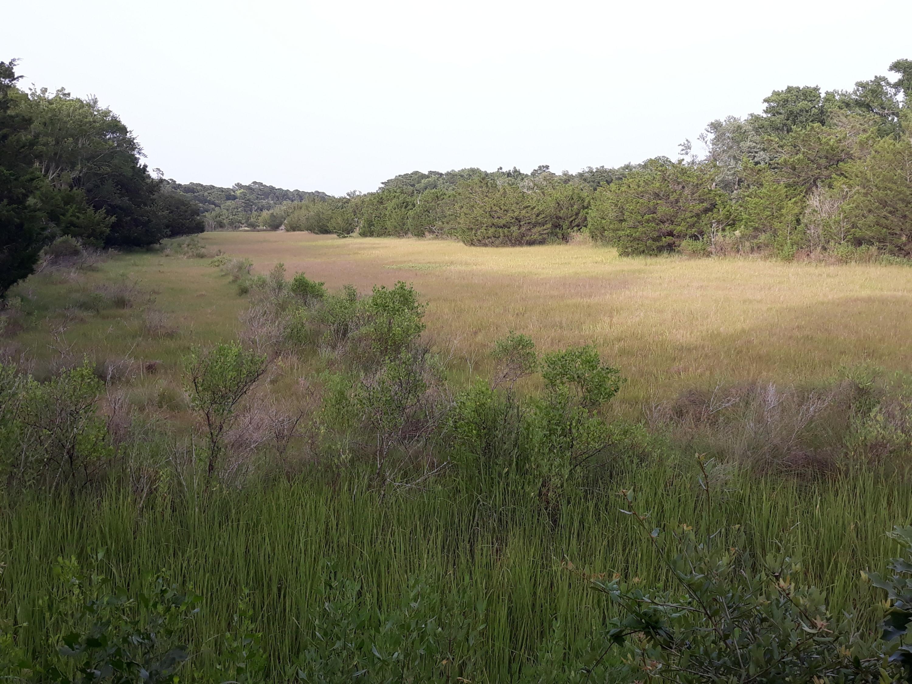 2645 Blind Road Johns Island, SC 29455 - Photo 5 of 33 JI 23