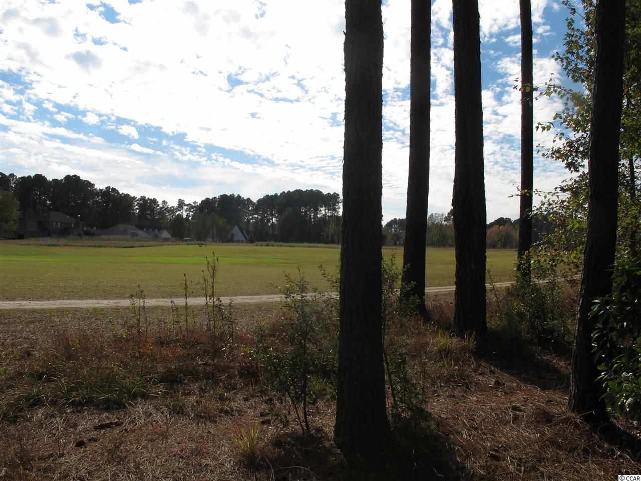 301 Shellbank Drive Longs, SC 29568 - Photo 14 of 25 Gallery Image 14
