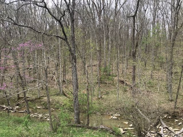 Menzie Bottoms Road Butler, KY 41006 - Photo 19 of 39 Gallery Image 19