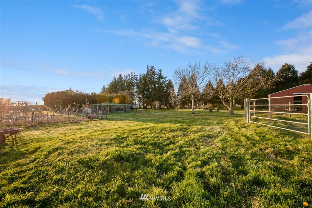 16573 Beaver Marsh Road Mount Vernon, WA 98273 - Photo 9 of 30 a view of a big yard with large trees