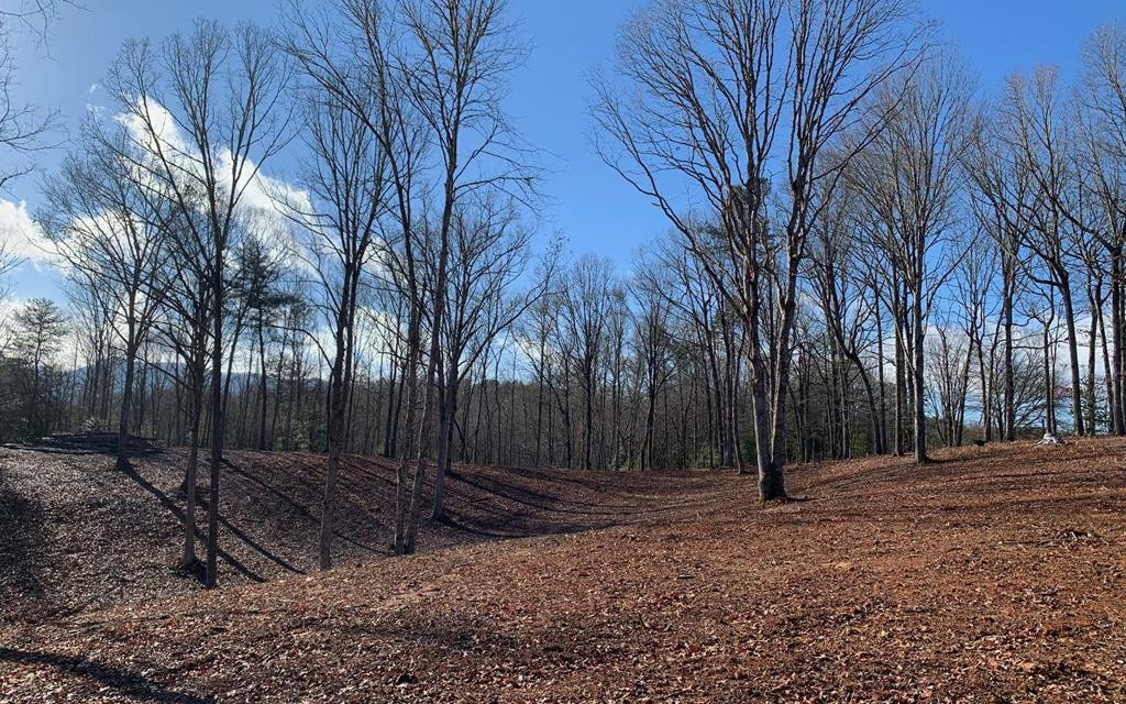 7-acres Payne Road Brasstown, NC 28902 - Photo 1 of 57 Main View
