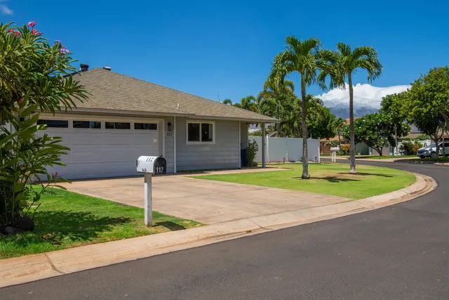 a house with palm tree in front of it