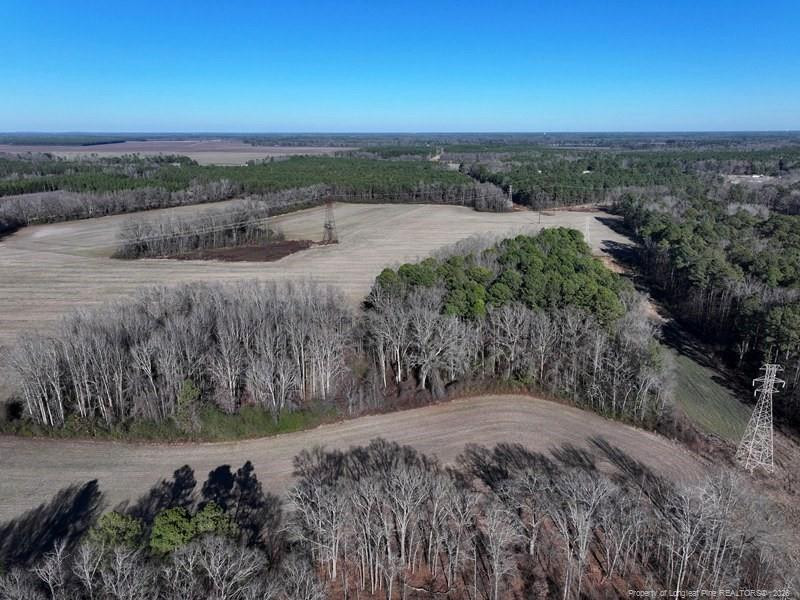 Tbd South Old Wire Road Maxton, NC 28364 - Photo 6 of 38 Photo 6
