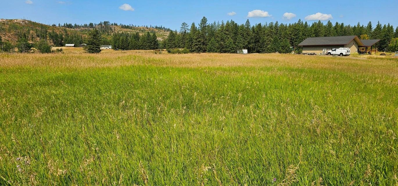 1041 Ward Way Colville, WA 99114 - Photo 7 of 29