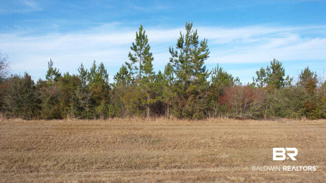 22 Ard Field Road Jay, FL 32565 - Photo 24 of 30