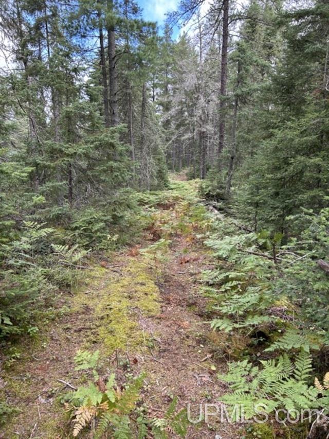 573 Rd Ishpeming Mi 49849 Road Ishpeming, MI 49849 - Photo 7 of 20