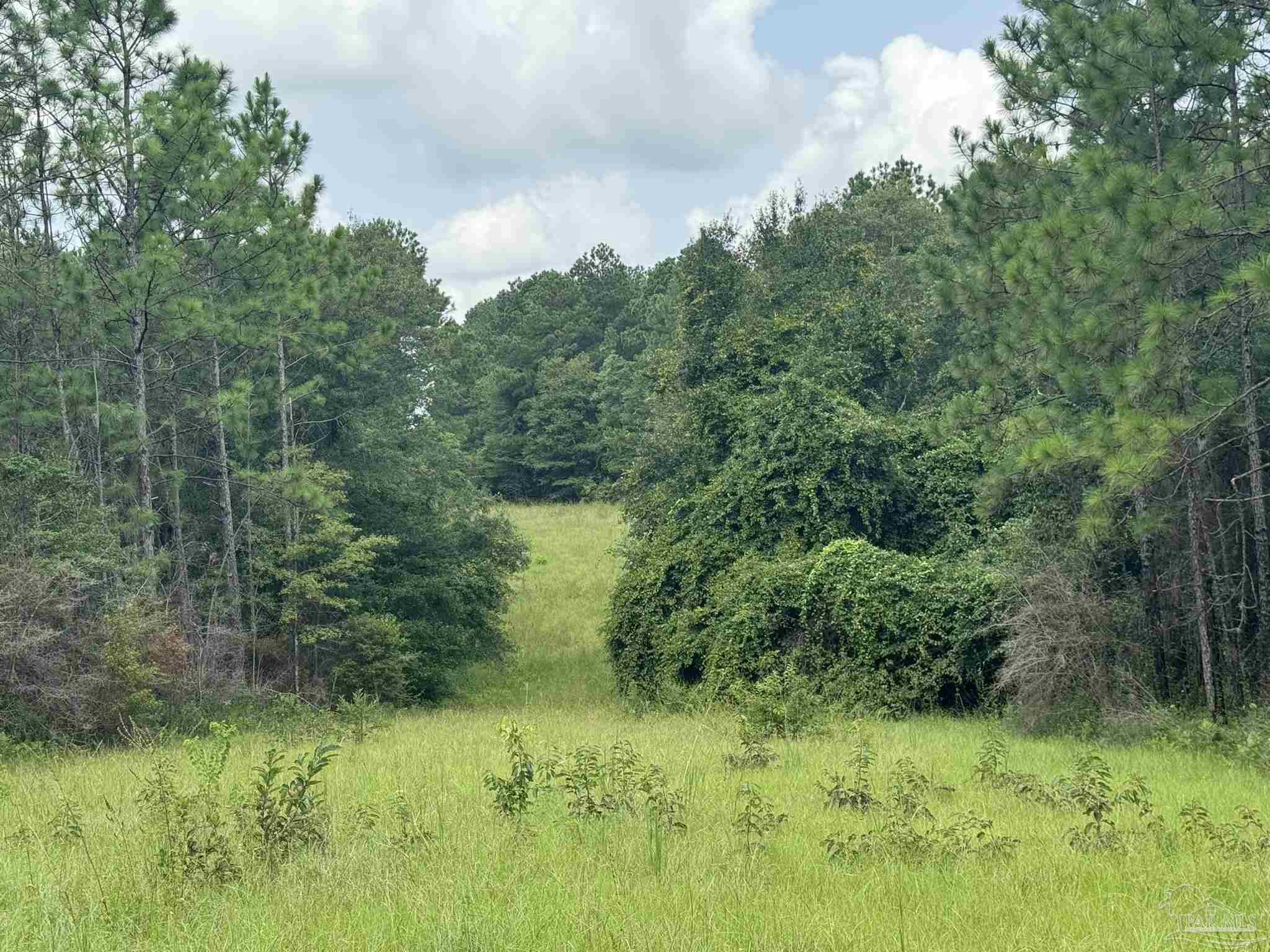 0 Nokomis Road Walnut Hill, FL 32568 - Photo 31 of 51
