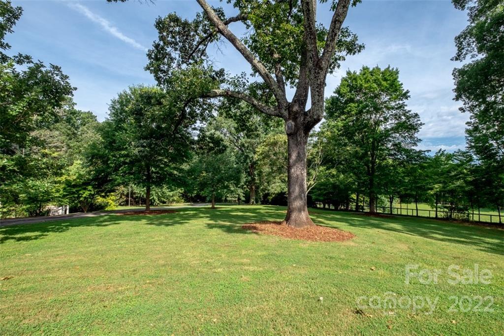 252 Hillbrook Road Tryon, NC 28782 - Photo 8 of 48 a view of outdoor space with deck and green space