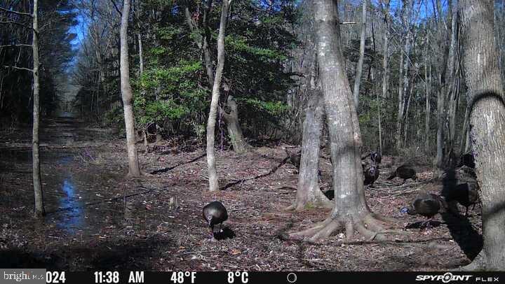 5076 Back Shelltown Road Marion Station, MD 21838 - Photo 34 of 97 Gallery Image 34
