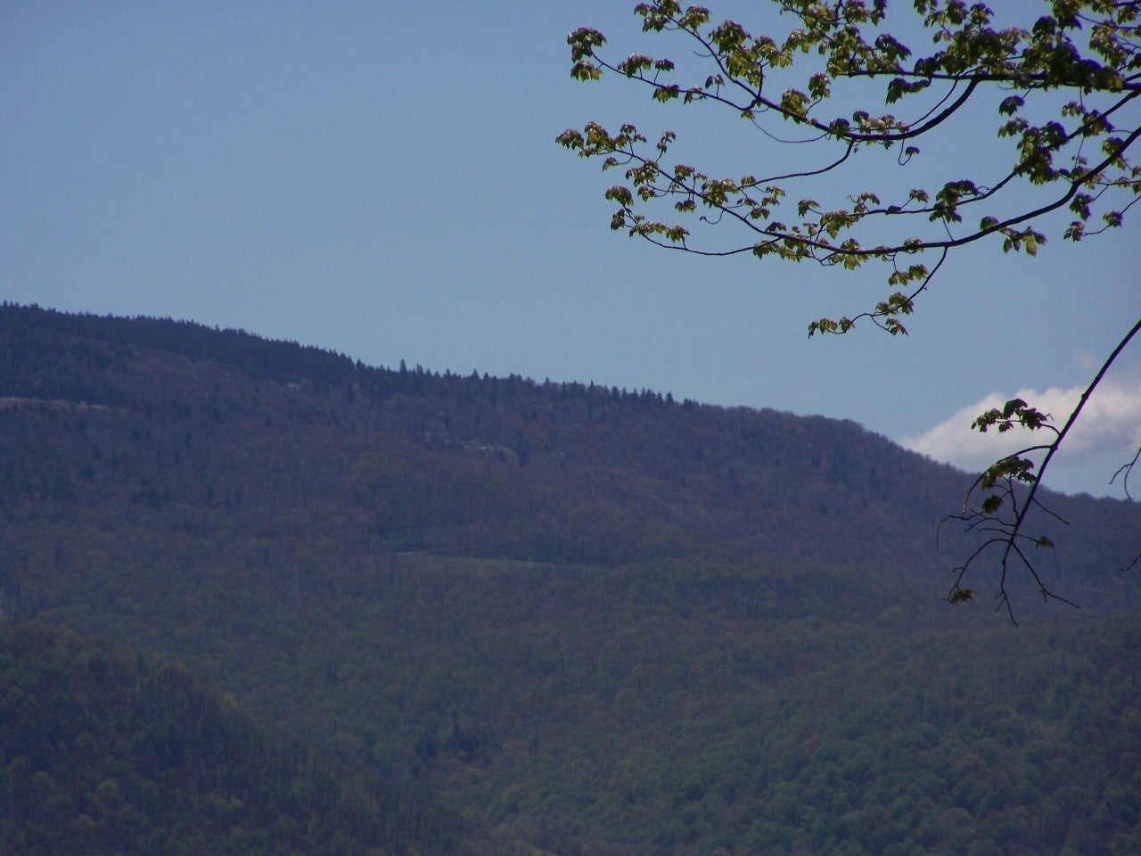 16 Cherry Grove Road Slatyfork, WV 26291 - Photo 7 of 19 Gallery Image 7
